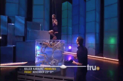 천조국 흔한 예능