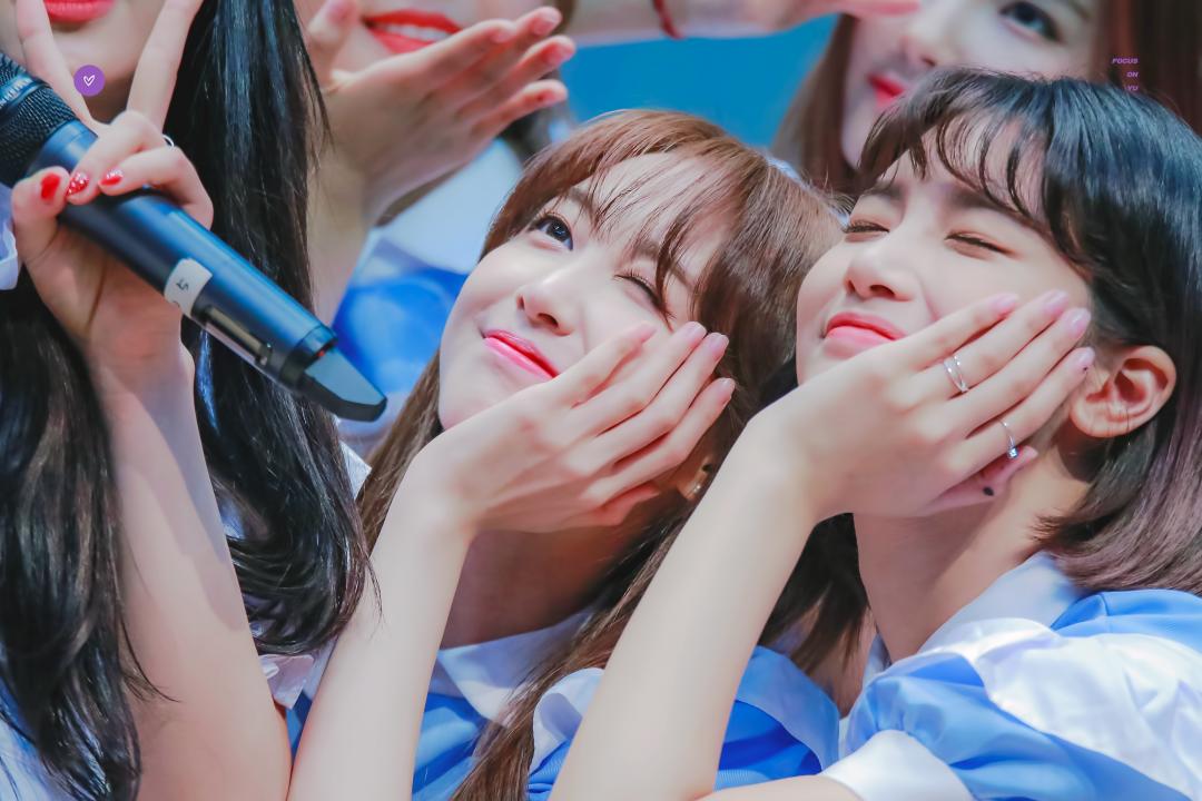 엘리스 유경