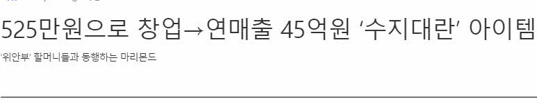 수지가 쓰는거로 화제되서 연매출 45억원을 벌었다는 회사