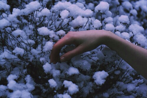 https%3A%2F%2F41.media.tumblr.com%2F54f67cfc2d9602ddbfc8169f7055c9be%2Ftumblr_ny8efyU8hU1tl7h9yo1_500.jpg