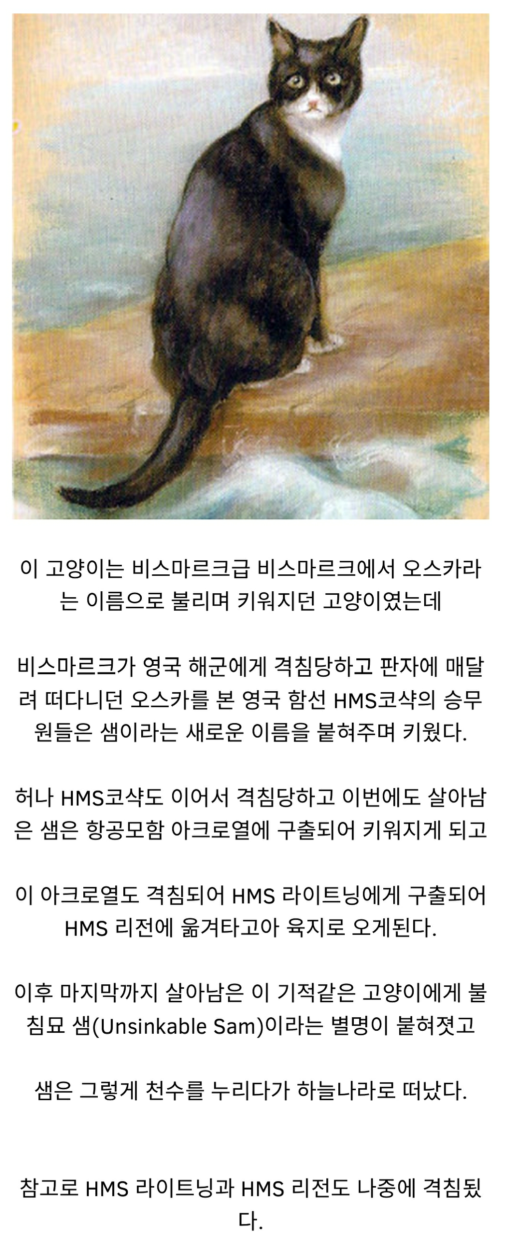 코난급 재앙묘