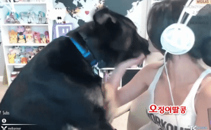 싱글벙글 동물친구들