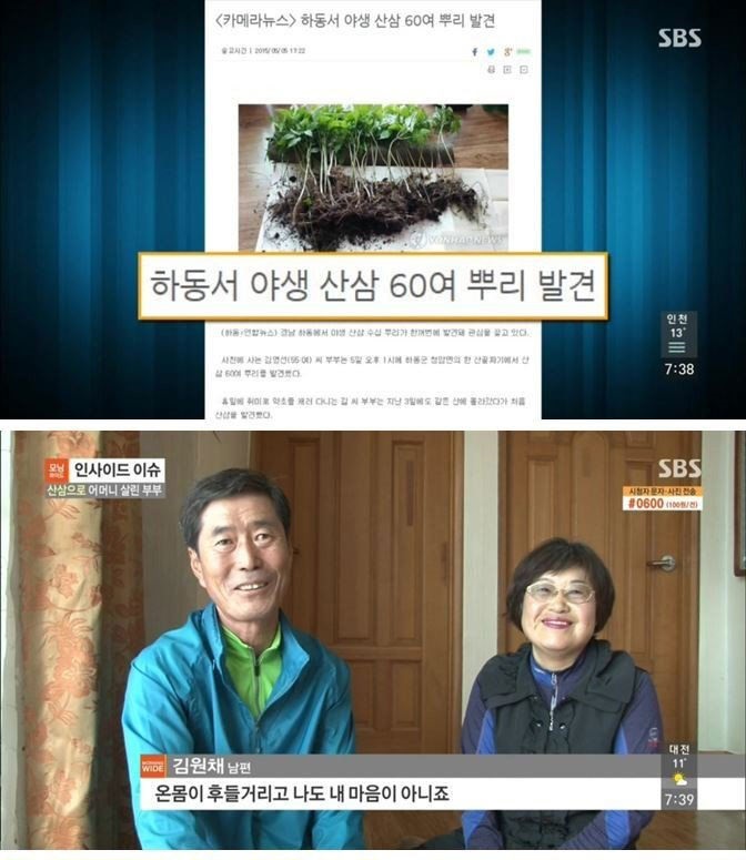 산삼 60여 뿌리 캔 부부