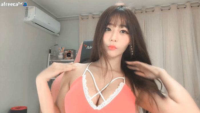 트위치 vs 아프리카