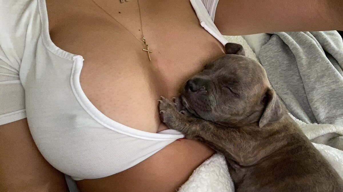 싱글벙글 동물친구들 - 짤티비