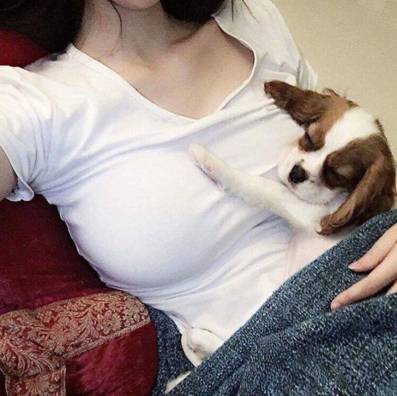 싱글벙글 동물친구들 - 짤티비