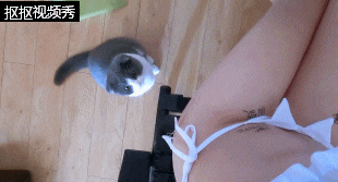 싱글벙글 동물친구들 - 짤티비