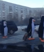 블랙박스에 찍힌 알바생들.gif