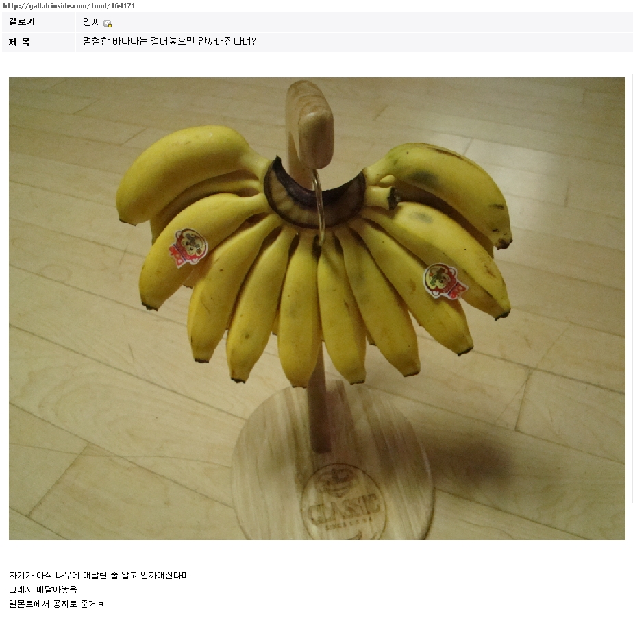 aaaa.jpg