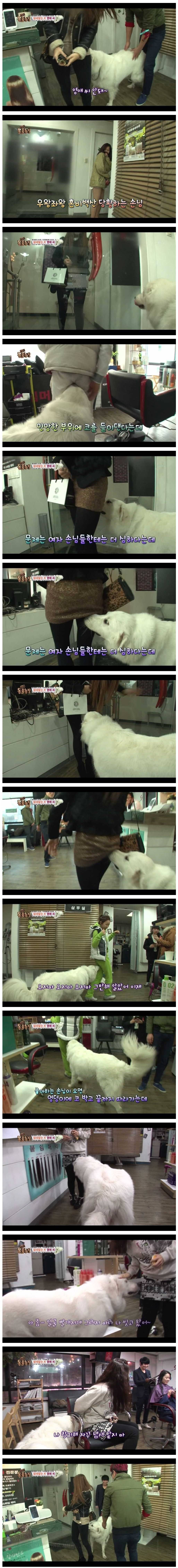 
			처자의 민망한냄새를 감지하는 보물.jpg 		