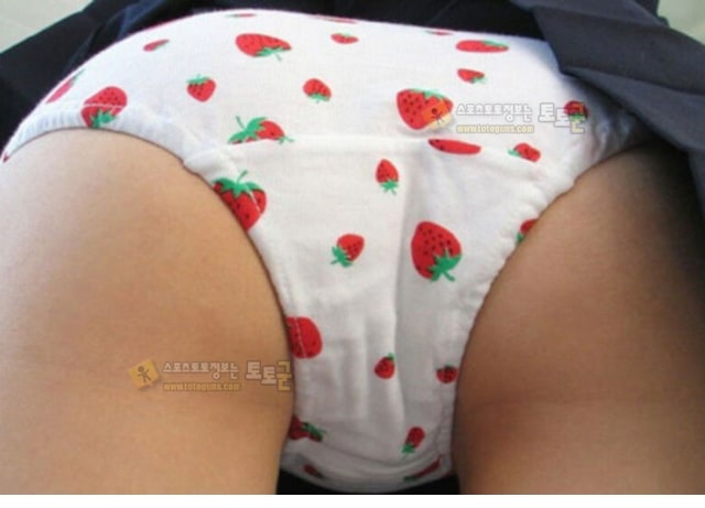 먹튀검증 토토군 유머 누나들의 특이점 온 자랑질