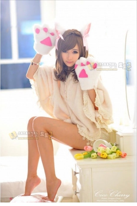 먹튀검증 토토군 포토 이쁜 모델처자