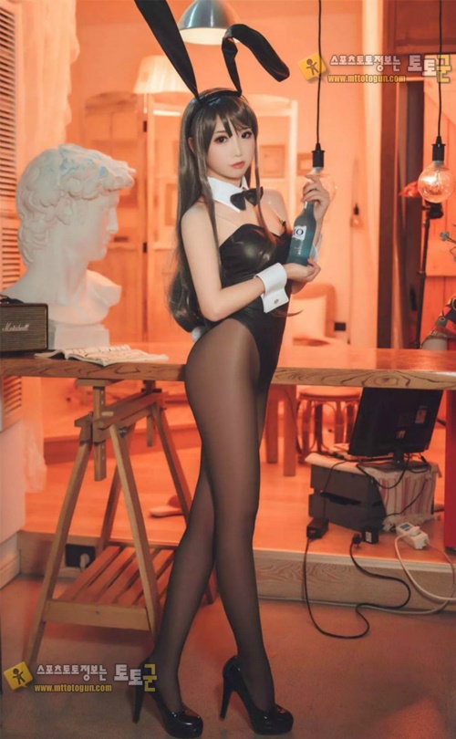 먹튀검증 토토군 포토 토끼소녀의 검스사랑