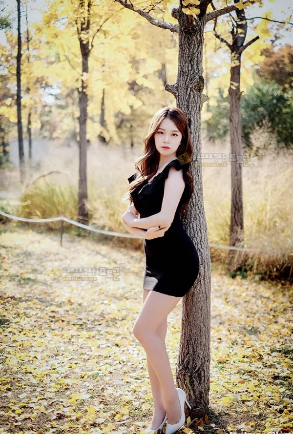 먹튀검증 토토군 포토 나은
