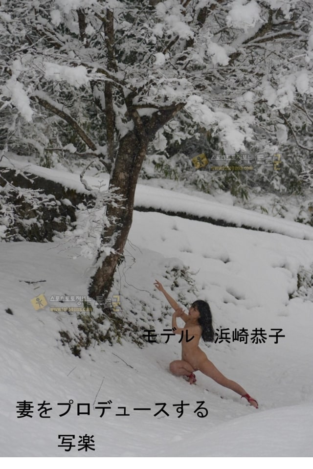 먹튀검증 토토군 포토 설산의 여인