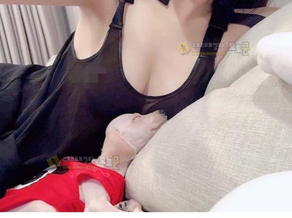 먹튀검증 토토군 포토 바람직한 처자