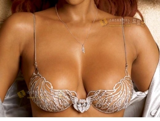 먹튀검증 토토군 포토 은밀하게