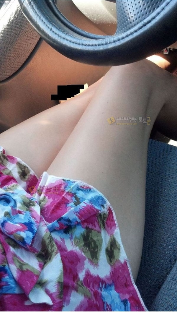 먹튀검증 토토군 포토 조수석 민패녀
