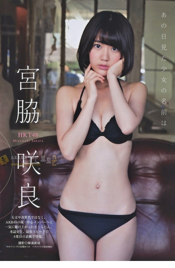 먹튀검증 토토군 포토 미야와키 사쿠라