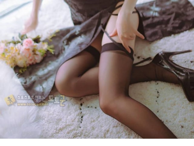 먹튀검증 토토군 포토 흰스 vs 검스