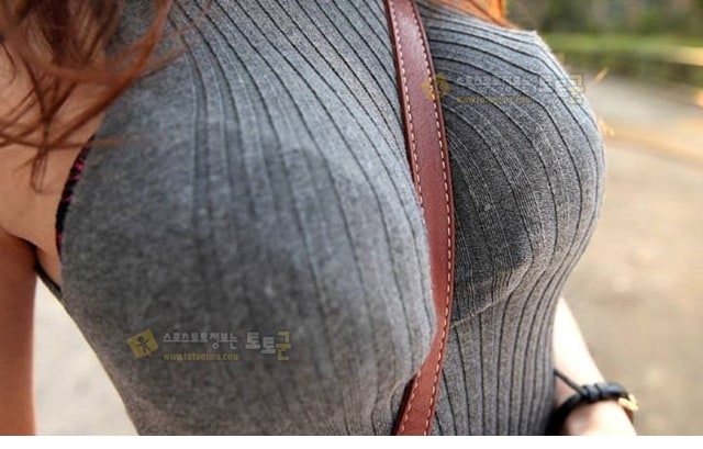 먹튀검증 토토군 포토 여린몸메의 강력한 필링