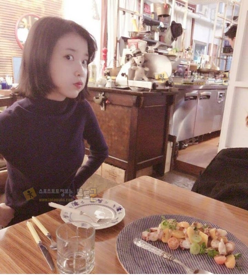 먹튀검증 토토군 포토 아이유