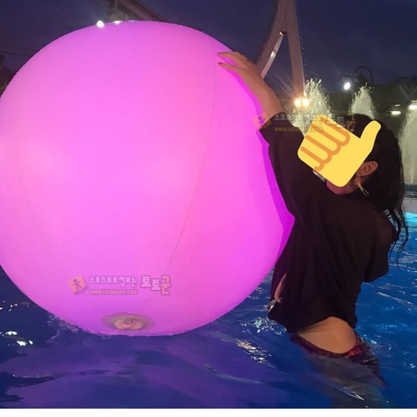 먹튀검증 토토군 포토 벌써 그리워지는 여름