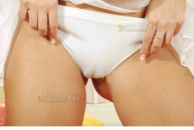 먹튀검증 토토군 포토 은밀한 삼각지역