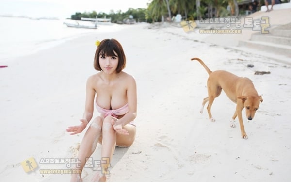 먹튀검증 토토군 포토 Bikini Girl