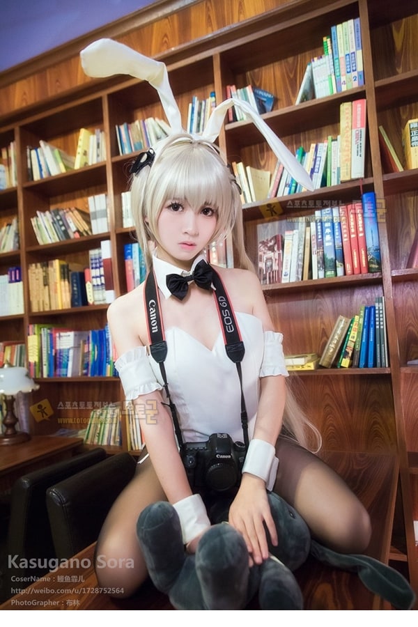 먹튀검증 토토군 포토 Bunny Girl
