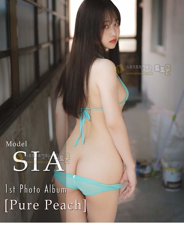 먹튀검증 토토군 포토 인스타 모델 시아