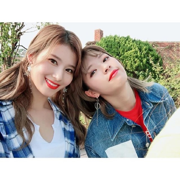 사나 치즈김밥?