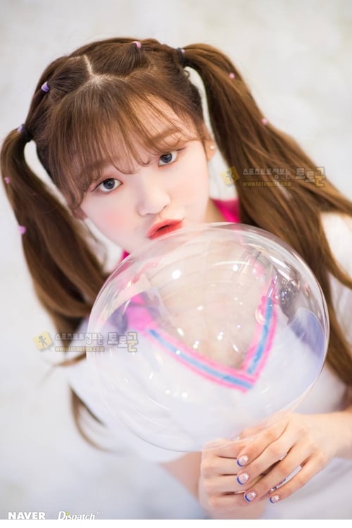 먹튀검증 토토군 포토 유아 아린 지호 효정 승희 비니 미미 오마이걸