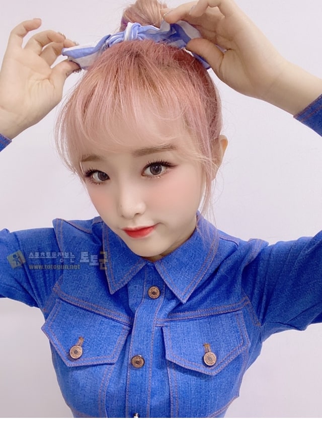 먹튀검증 토토군 포토 아이즈원 최예나