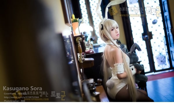 먹튀검증 토토군 포토 Bunny Girl