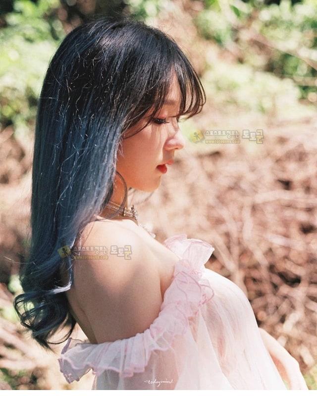 먹튀검증 토토군 포토 순수한 그녀