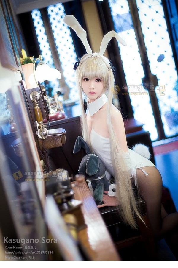 먹튀검증 토토군 포토 Bunny Girl