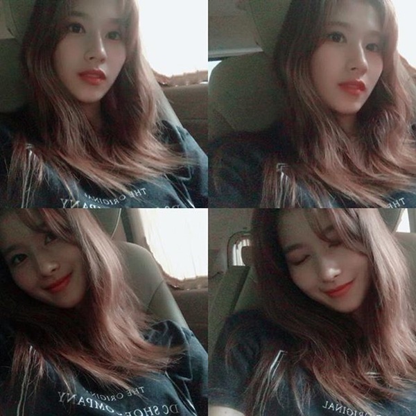 사나 치즈김밥?