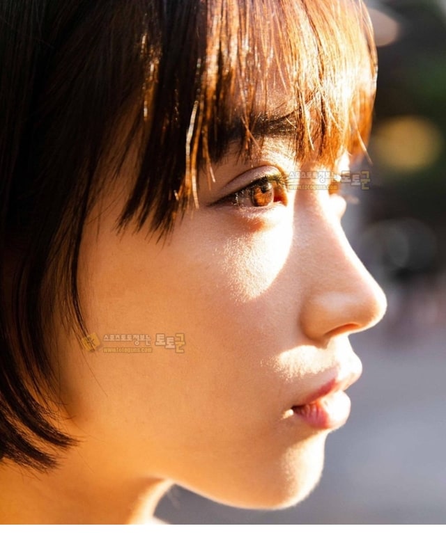 먹튀검증 토토군 포토 일본 그라돌