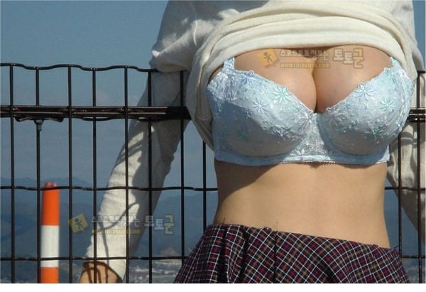 먹튀검증 토토군 포토 이쁜이들