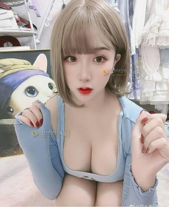 먹튀검증 토토군 포토 일본 처자