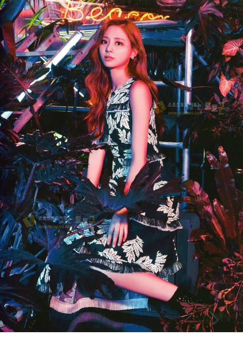 먹튀검증 토토군 포토 트와이스 Breakthrough