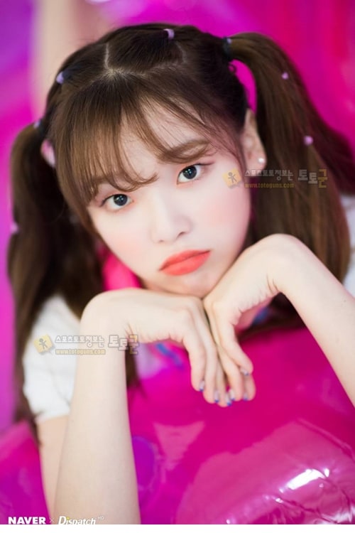 먹튀검증 토토군 포토 유아 아린 지호 효정 승희 비니 미미 오마이걸