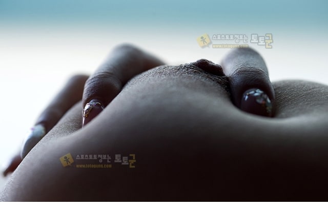 먹튀검증 토토군 포토 여친의 살짝 ㄴㅊ
