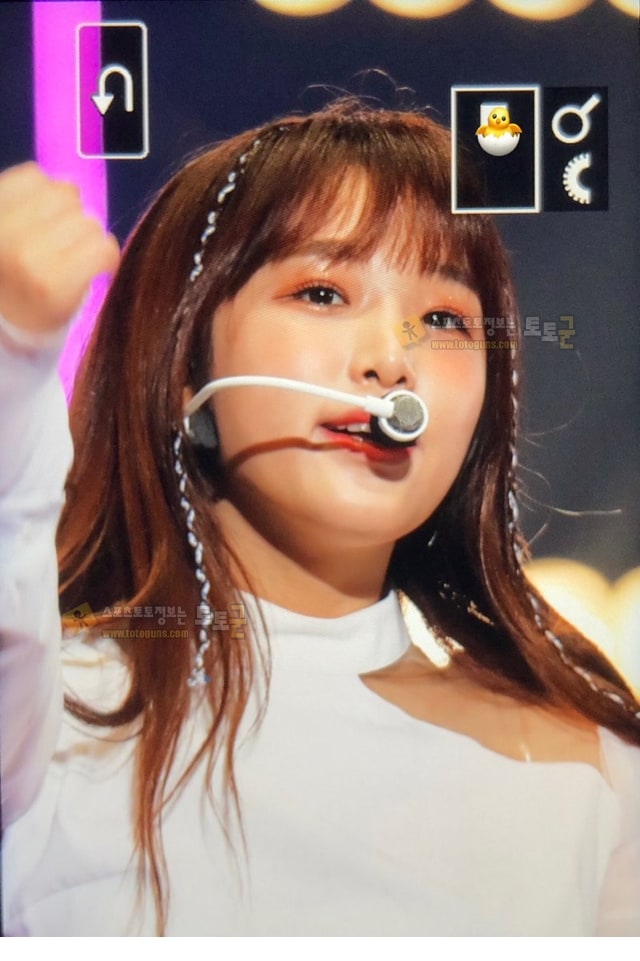 먹튀검증 토토군 포토 아이즈원 최예나