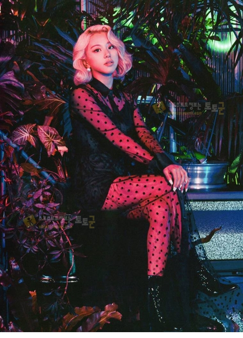 먹튀검증 토토군 포토 트와이스 Breakthrough