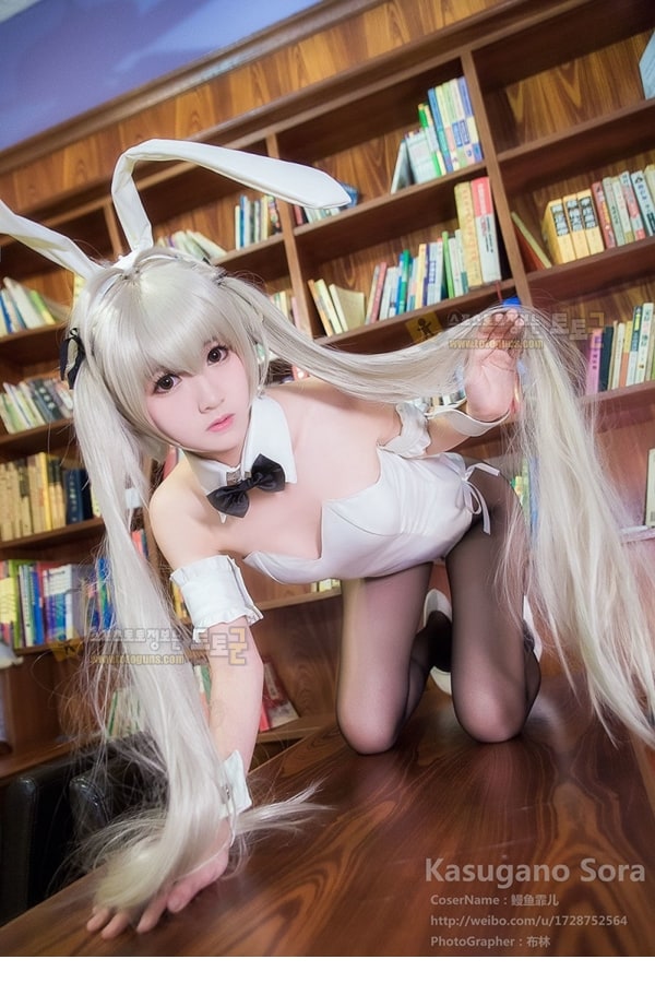 먹튀검증 토토군 포토 Bunny Girl
