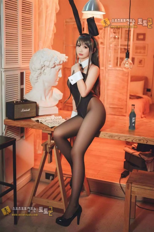 먹튀검증 토토군 포토 토끼소녀의 검스사랑