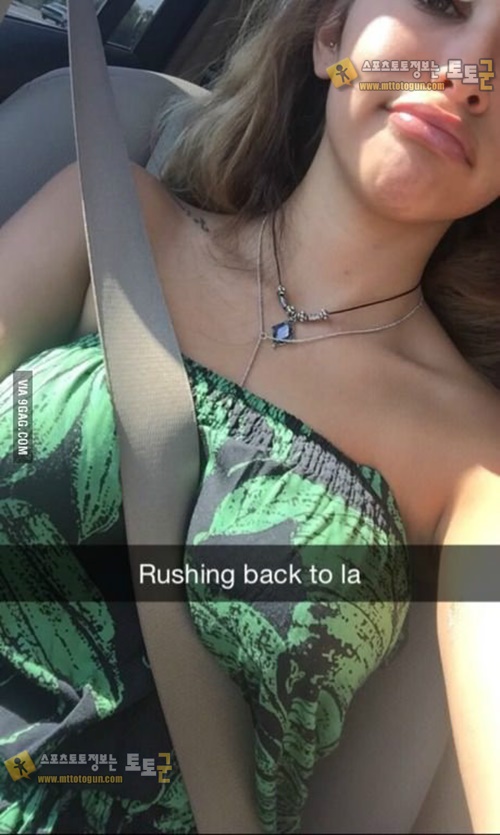 먹튀검증 토토군 포토 안전벨트