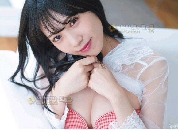 먹튀검증 토토군 포토 일본 그라비아 모델녀